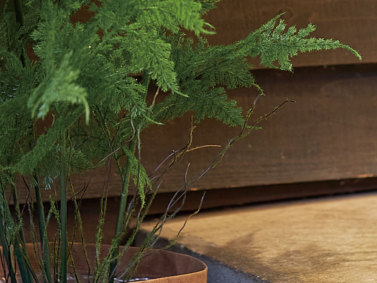 BROWN Asparagus Pot / ブラウン アスパラガス ポット 90 （花器・プランター・グリーン > フェイクグリーン・フェイクフラワー） 4