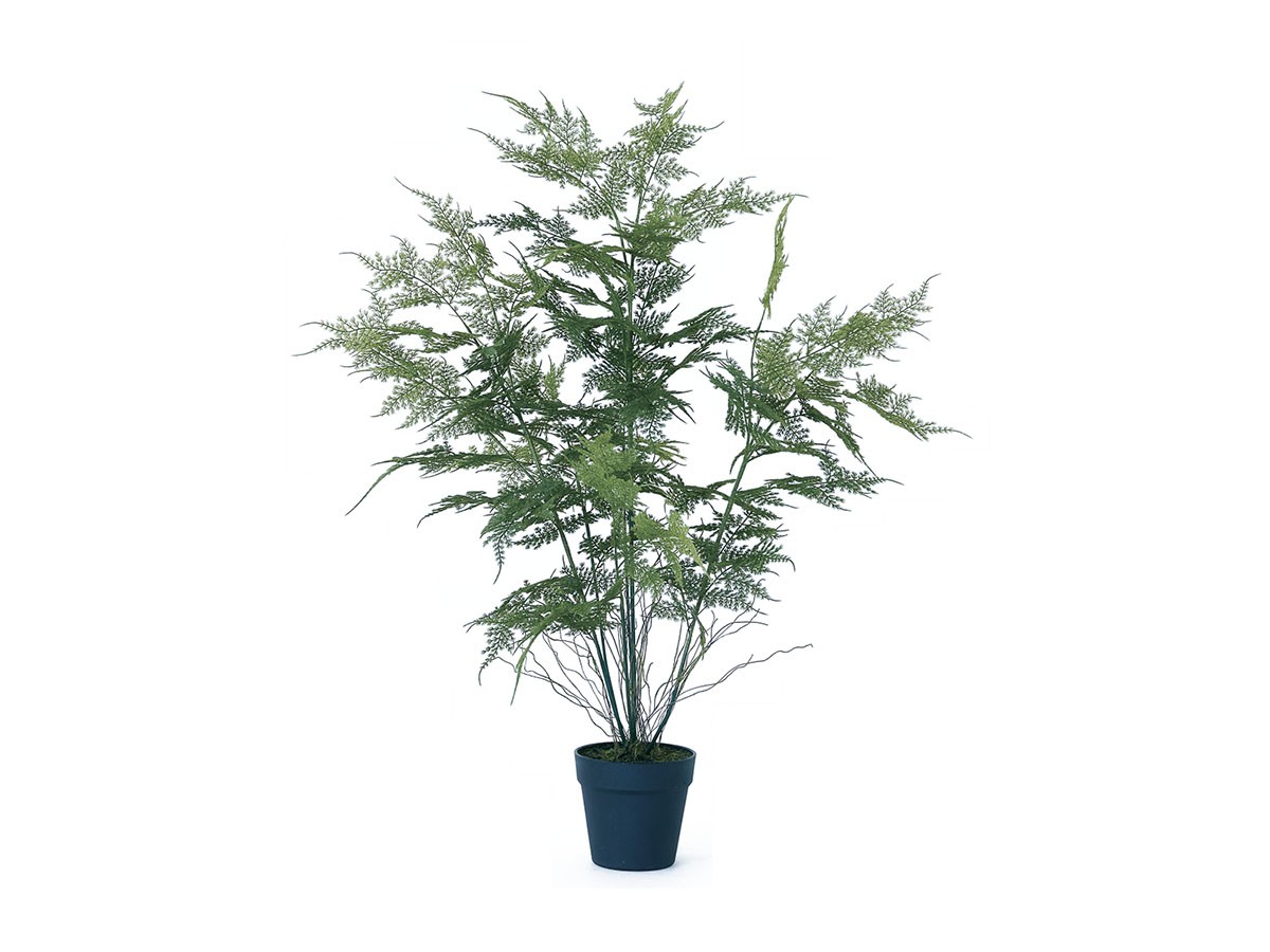BROWN Asparagus Pot / ブラウン アスパラガス ポット 90 (花器・プランター・グリーン > フェイクグリーン・フェイクフラワー) 1