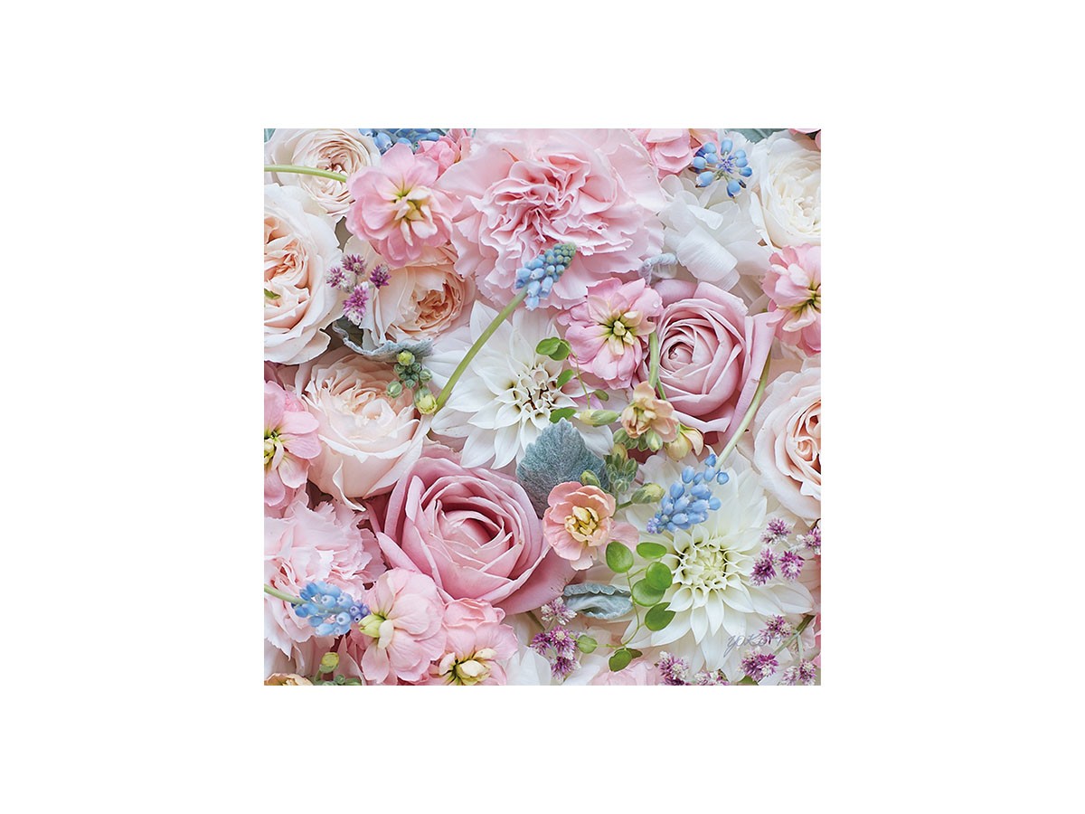 Pastel Bloom Rose Hermoney