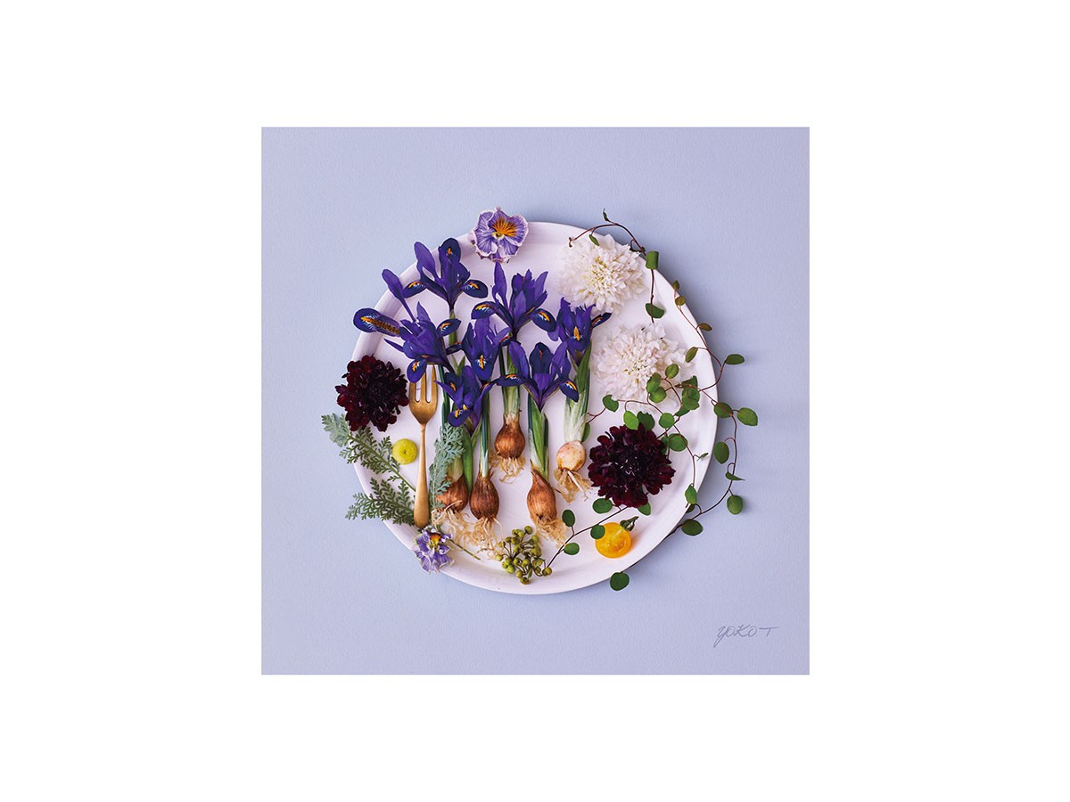 Food inspiered Dish Flowers Grace