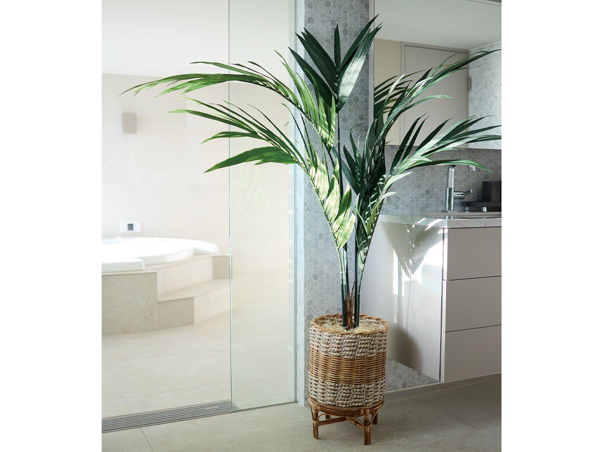 BROWN Kentia Palm Pot / ブラウン ケンチャヤシ ポット 152 （花器・プランター・グリーン > フェイクグリーン・フェイクフラワー） 2