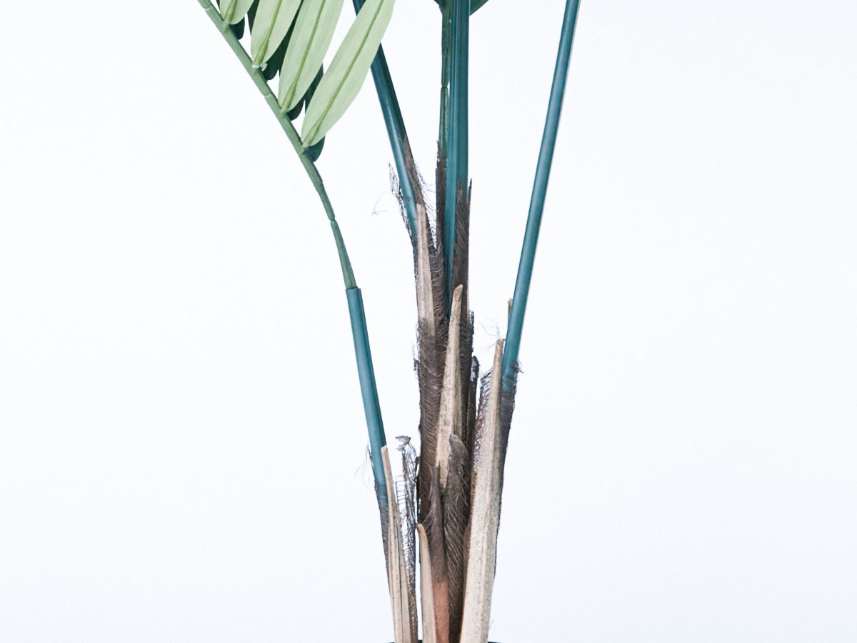 BROWN Kentia Palm Pot / ブラウン ケンチャヤシ ポット 152 （花器・プランター・グリーン > フェイクグリーン・フェイクフラワー） 7