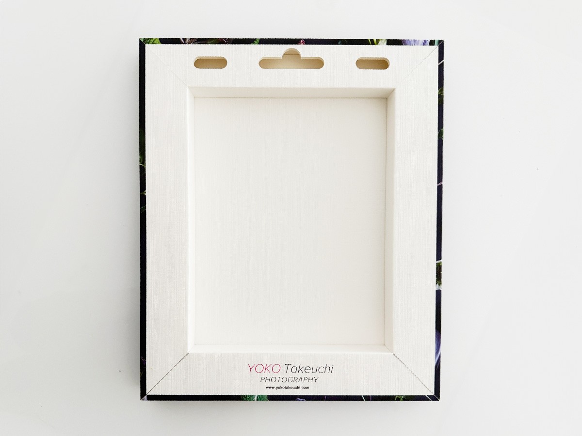 YOKO Takeuchi Geometric Bicolor Strelizia / ヨウコ タケウチ ジオメトリック ストレリチア レクタングルXL （アート・オブジェ > フォトパネル・フォトアート） 5