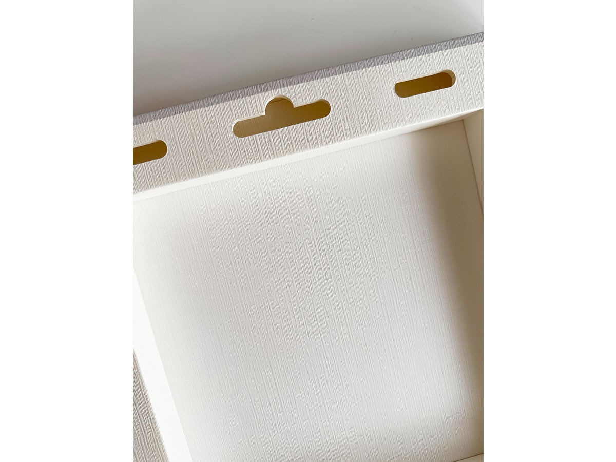 YOKO Takeuchi Geometric Bicolor Strelizia / ヨウコ タケウチ ジオメトリック ストレリチア レクタングルXL （アート・オブジェ > フォトパネル・フォトアート） 6