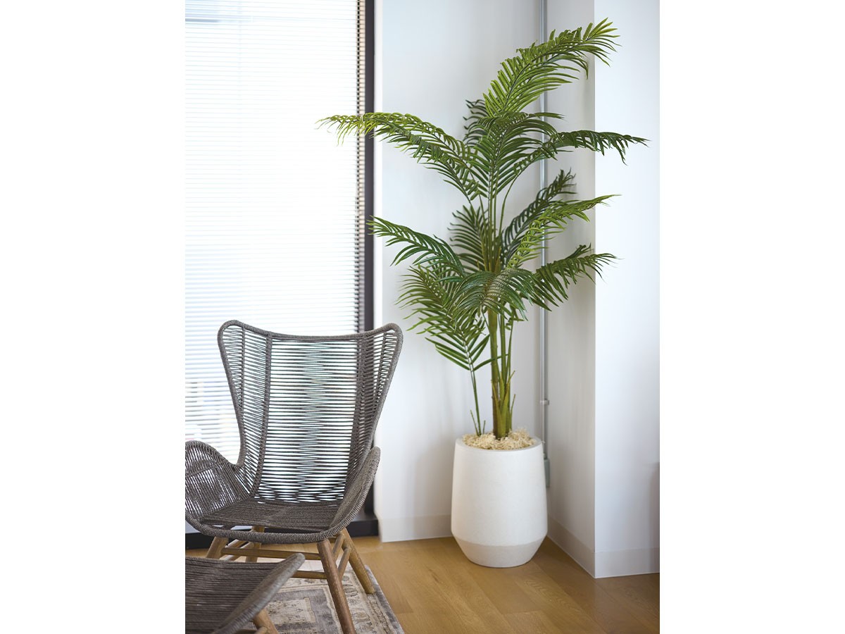 BROWN Queen Palm Pot / ブラウン ジョオウヤシ ポット 220 （花器・プランター・グリーン > フェイクグリーン・フェイクフラワー） 2