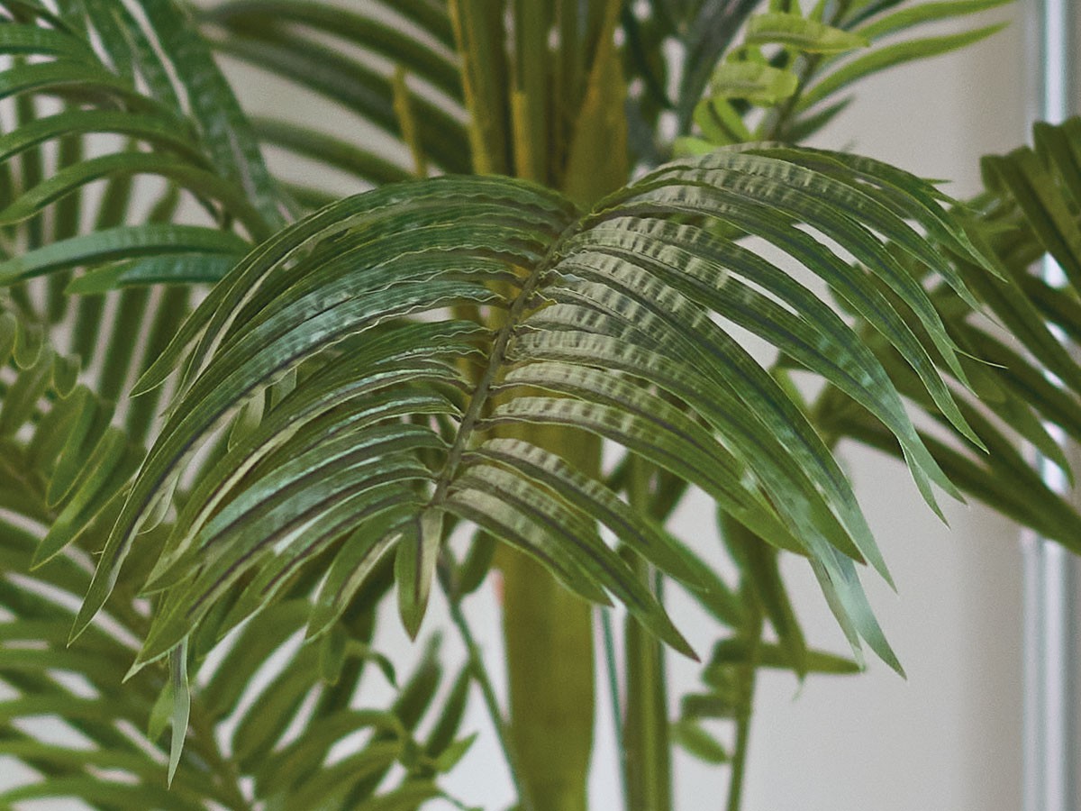 BROWN Queen Palm Pot / ブラウン ジョオウヤシ ポット 220 （花器・プランター・グリーン > フェイクグリーン・フェイクフラワー） 6