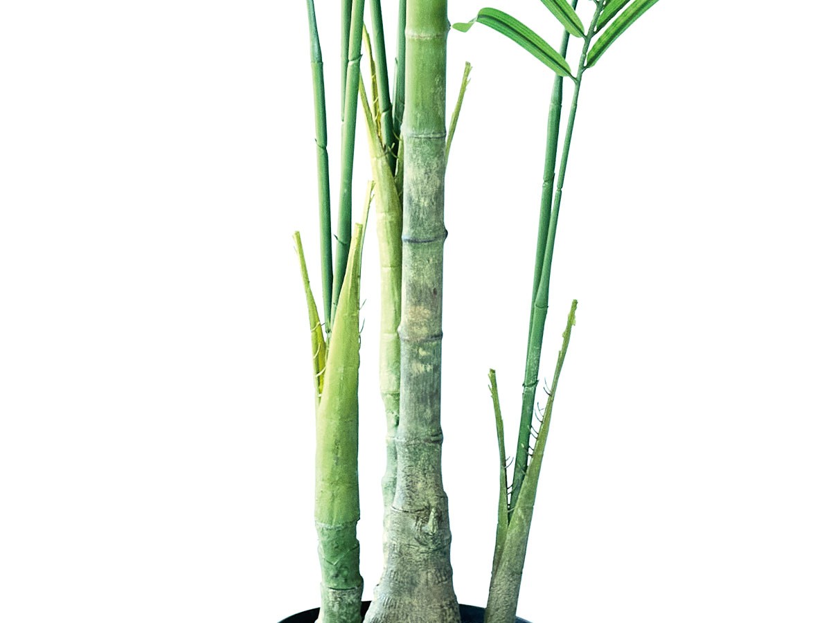 BROWN Queen Palm Pot / ブラウン ジョオウヤシ ポット 220 （花器・プランター・グリーン > フェイクグリーン・フェイクフラワー） 9