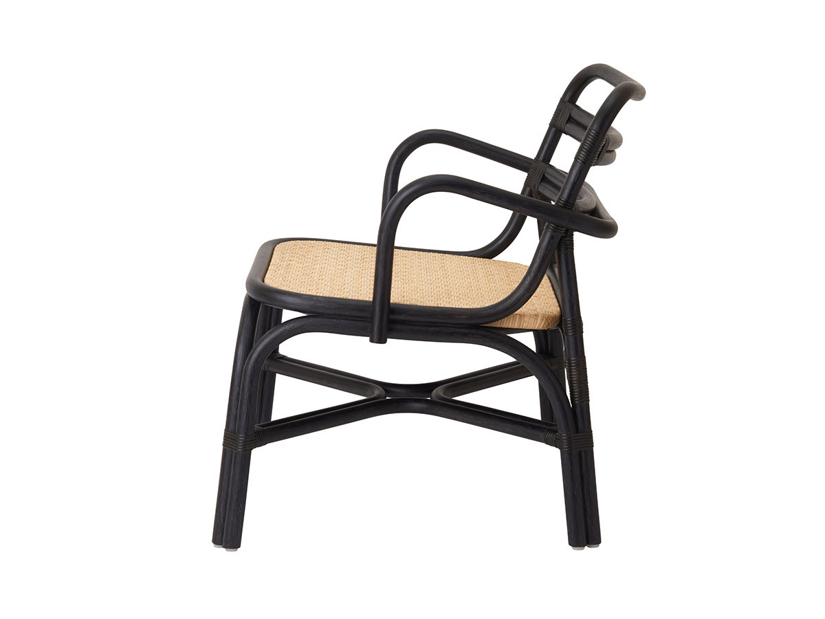 TOU SR lounge chair arm / トウ SR ラウンジチェア アーム （チェア・椅子 > ラウンジチェア） 8