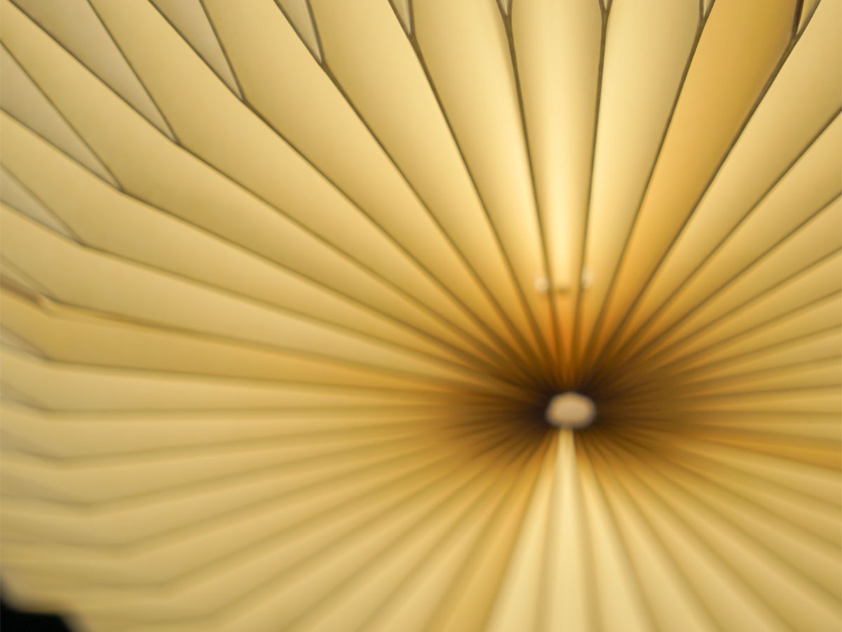 MANE Lamp Shade / モーネ ランプシェード コクーン （ライト・照明 > ペンダントライト） 26