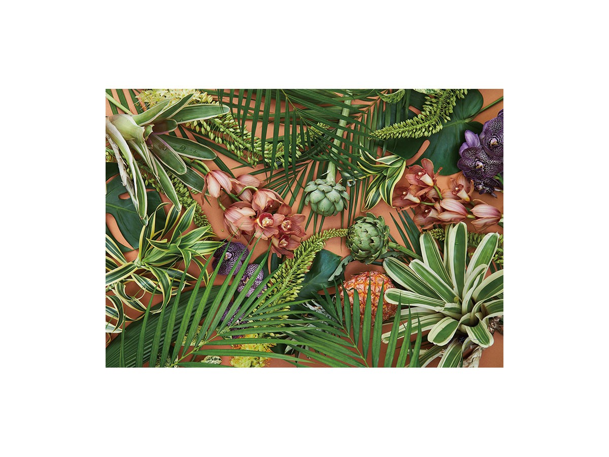 Botanic Orchid Grove