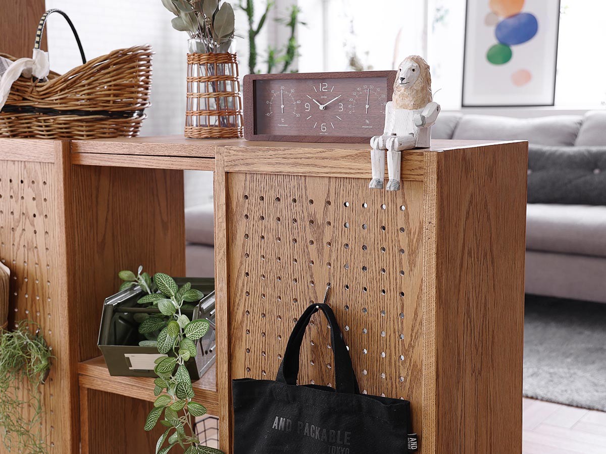 LAYER SHELF / レイヤー 2段シェルフ （収納家具 > ラック・シェルフ） 9