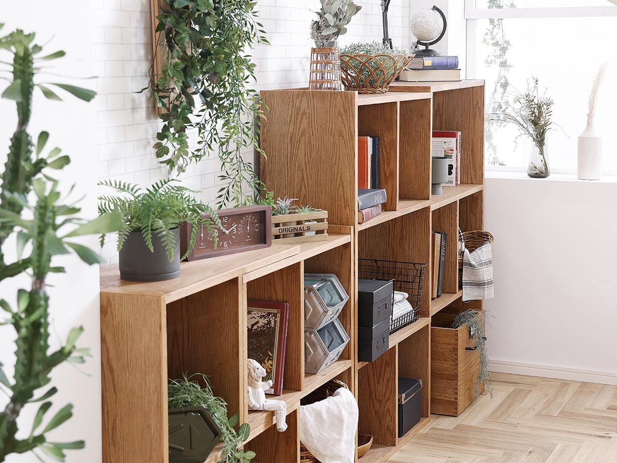 LAYER SHELF / レイヤー 2段シェルフ （収納家具 > ラック・シェルフ） 7