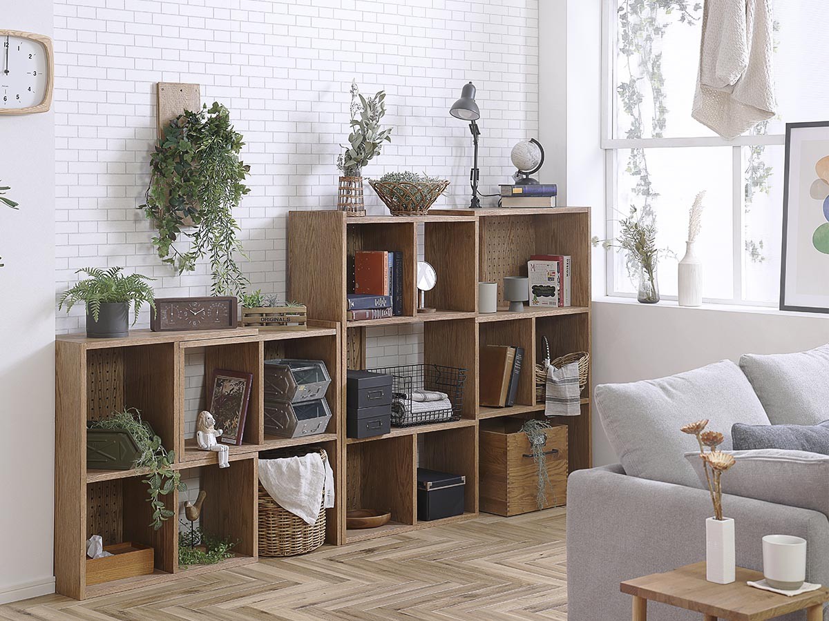 LAYER SHELF / レイヤー 2段シェルフ （収納家具 > ラック・シェルフ） 4