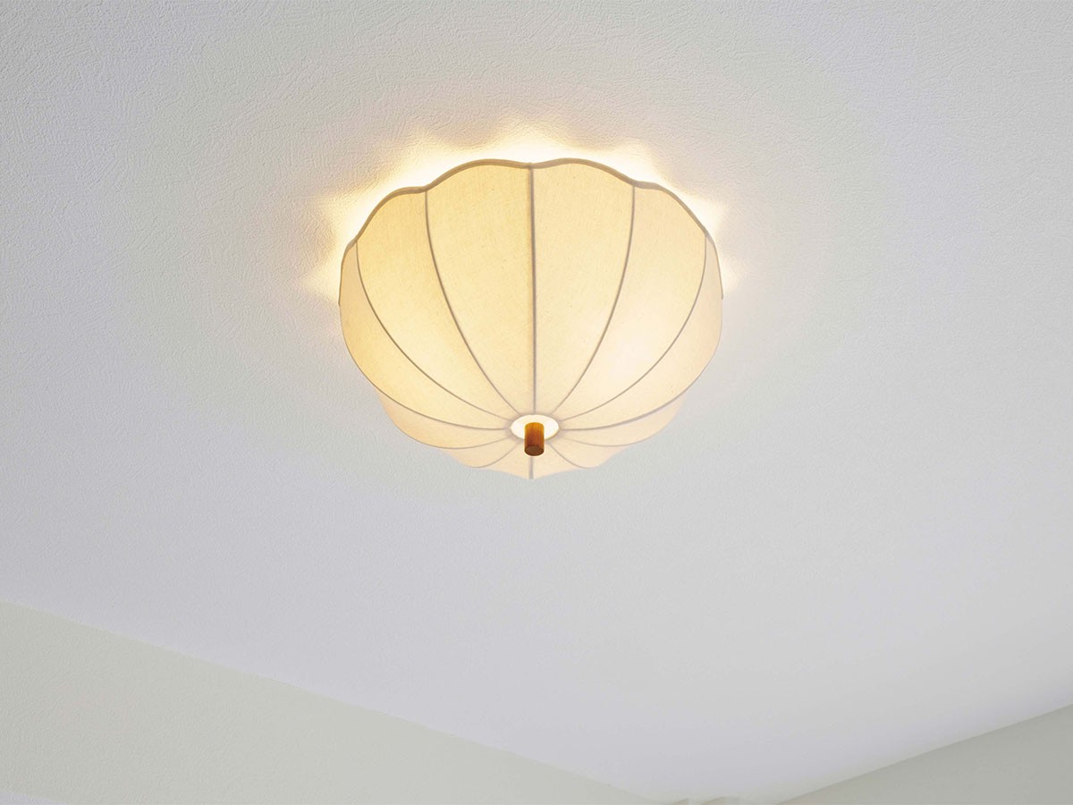 Ceiling Light / シーリングライト #123859 （ライト・照明 > シーリングライト） 4
