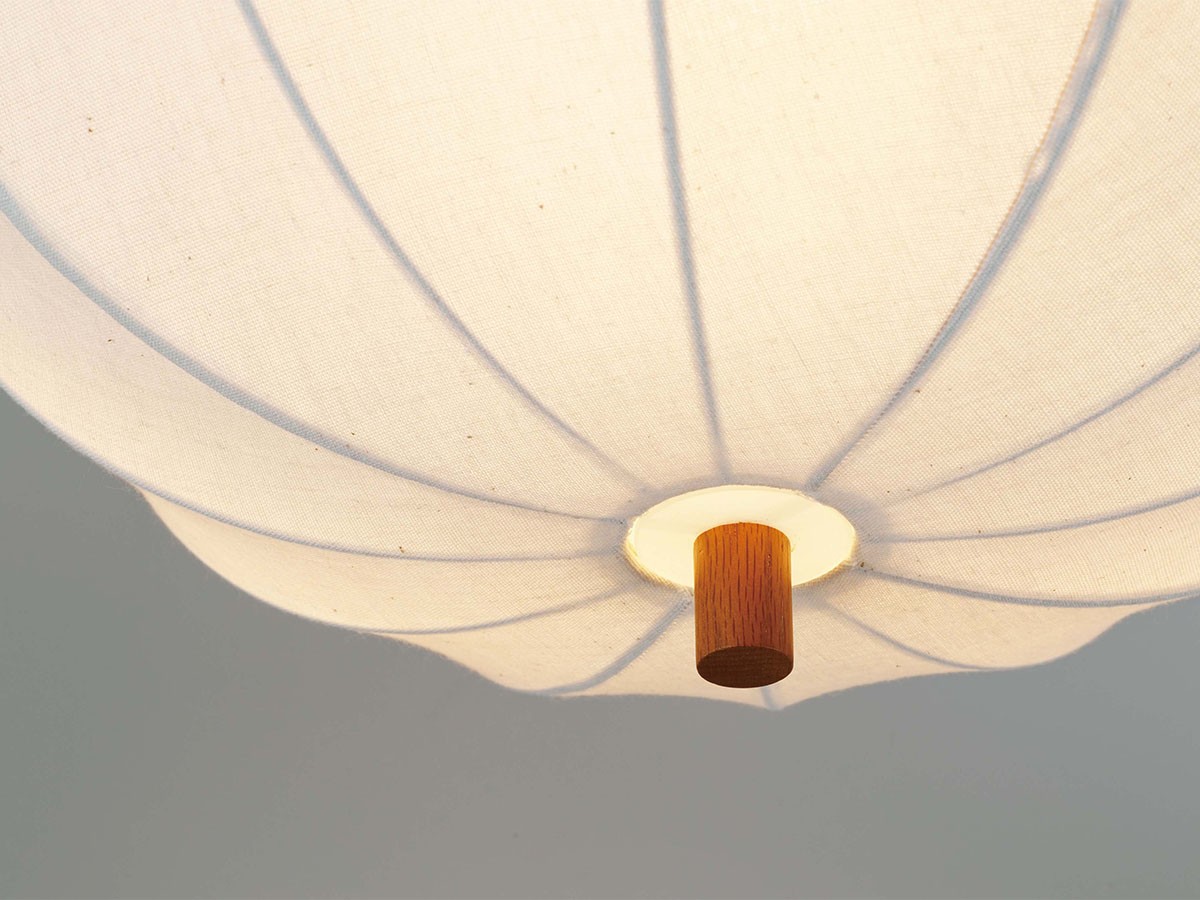 Ceiling Light / シーリングライト #123859 （ライト・照明 > シーリングライト） 5