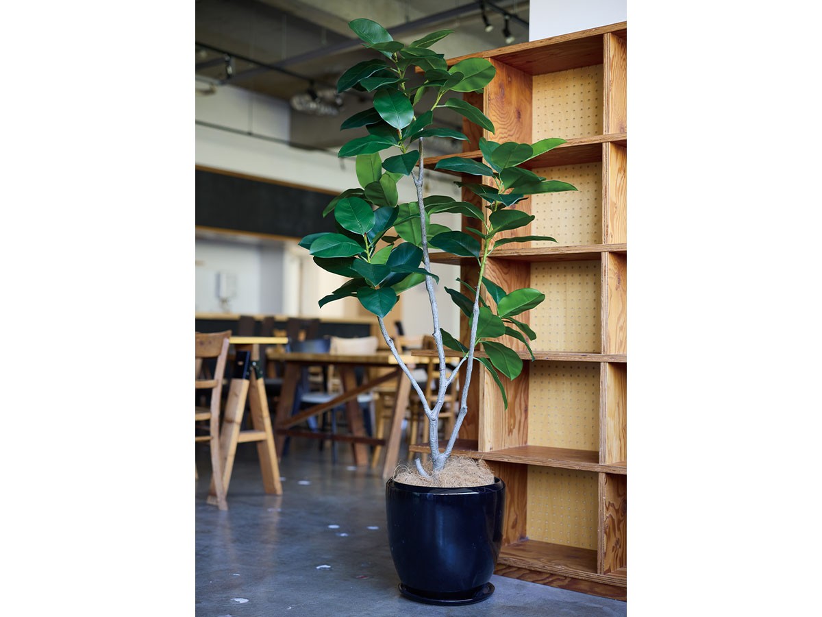BROWN Ficus Benghalensis Pot / ブラウン フィカス ベンガレンシス ポット 170 （花器・プランター・グリーン > フェイクグリーン・フェイクフラワー） 2