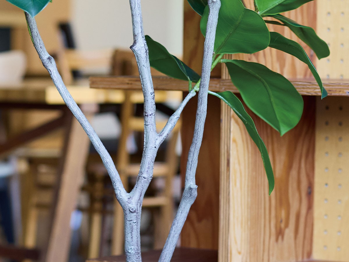 BROWN Ficus Benghalensis Pot / ブラウン フィカス ベンガレンシス ポット 170 （花器・プランター・グリーン > フェイクグリーン・フェイクフラワー） 5
