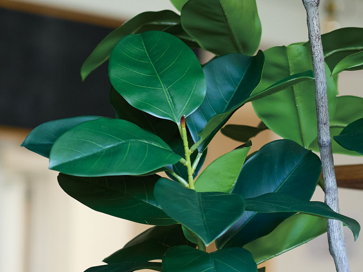BROWN Ficus Benghalensis Pot / ブラウン フィカス ベンガレンシス ポット 170 （花器・プランター・グリーン > フェイクグリーン・フェイクフラワー） 4