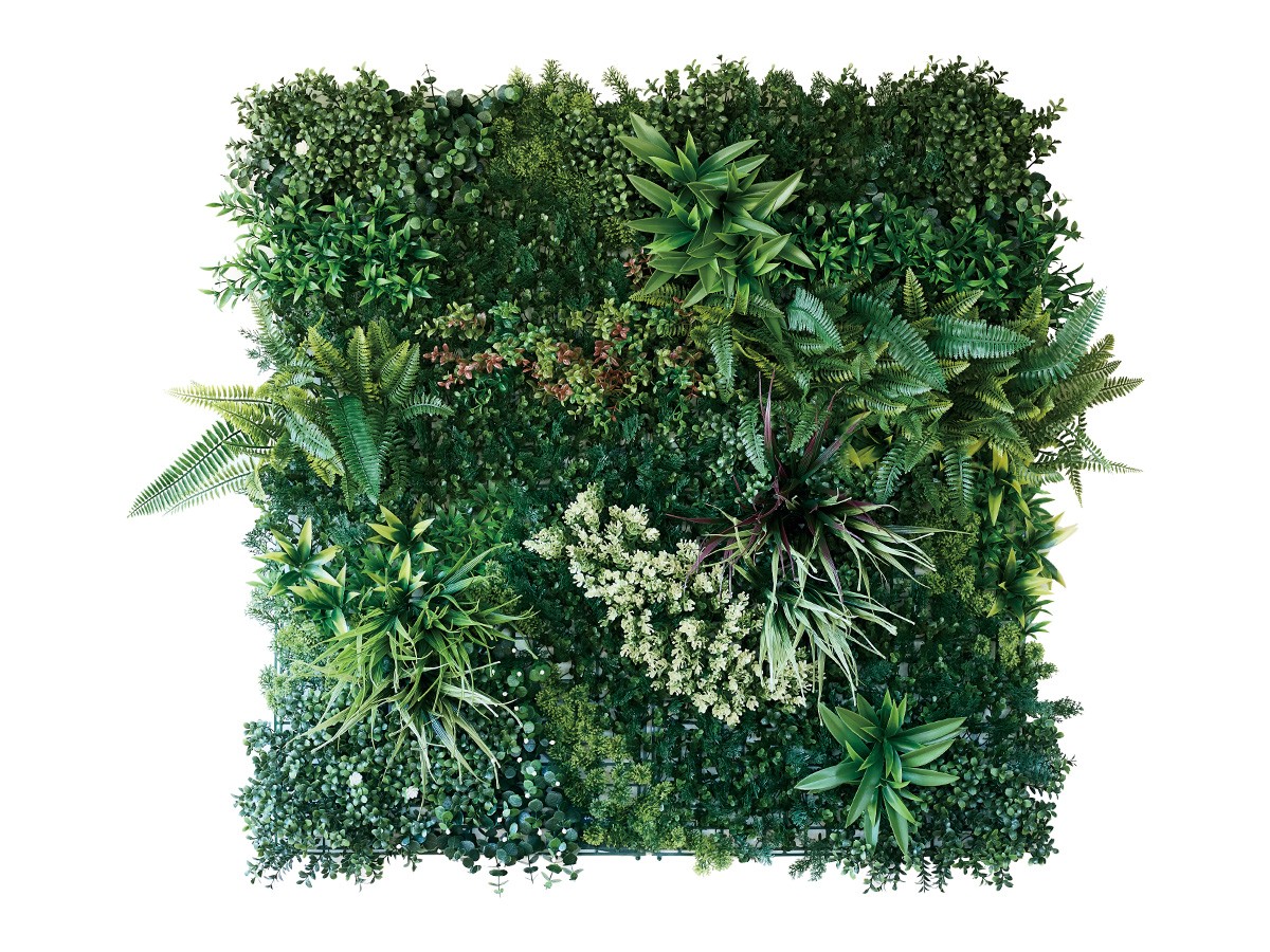 BROWN Green Wall