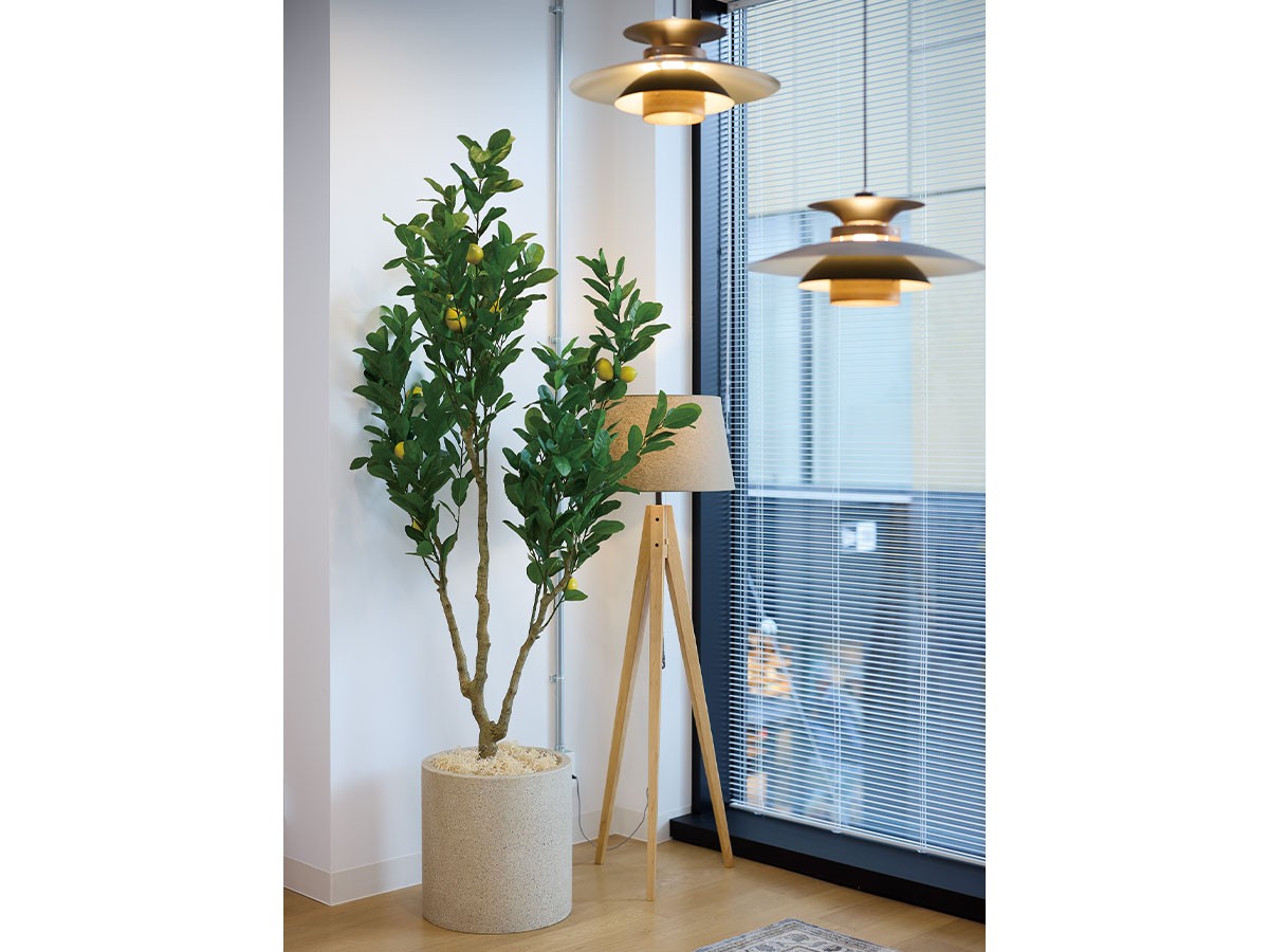 BROWN Lemon Tree Pot / ブラウン レモンの木 ポット 220 （花器・プランター・グリーン > フェイクグリーン・フェイクフラワー） 2