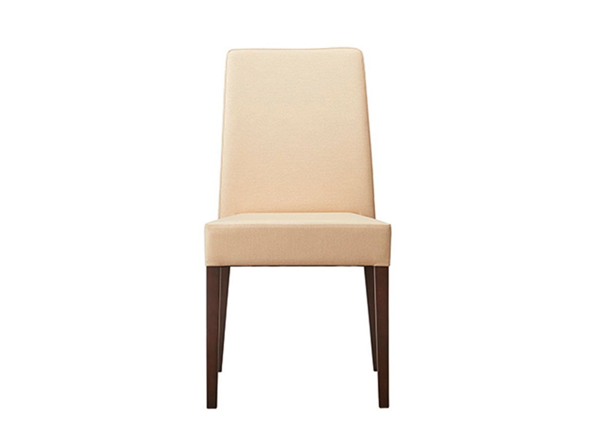 ABORD DINING CHAIR / アボール ダイニングチェア W034 （チェア・椅子 > ダイニングチェア） 10