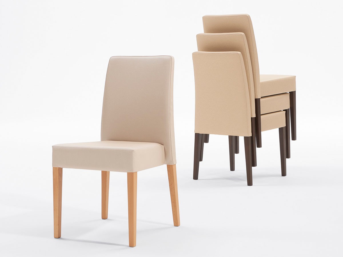 ABORD DINING CHAIR / アボール ダイニングチェア W034 （チェア・椅子 > ダイニングチェア） 9