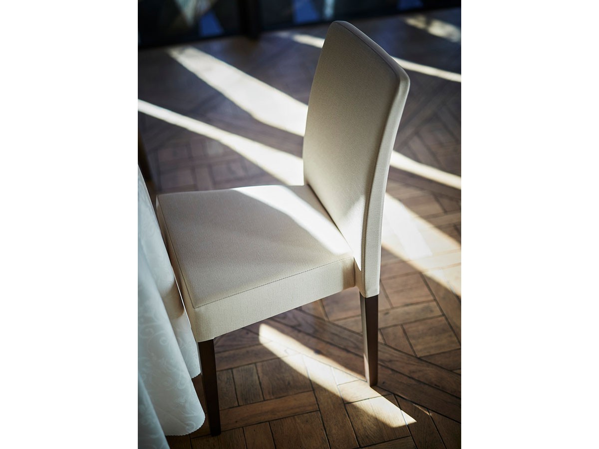 ABORD DINING CHAIR / アボール ダイニングチェア W034 （チェア・椅子 > ダイニングチェア） 5