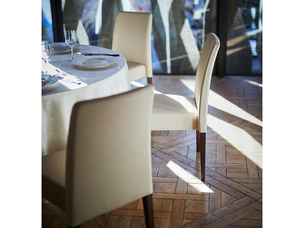 ABORD DINING CHAIR / アボール ダイニングチェア W034 （チェア・椅子 > ダイニングチェア） 3