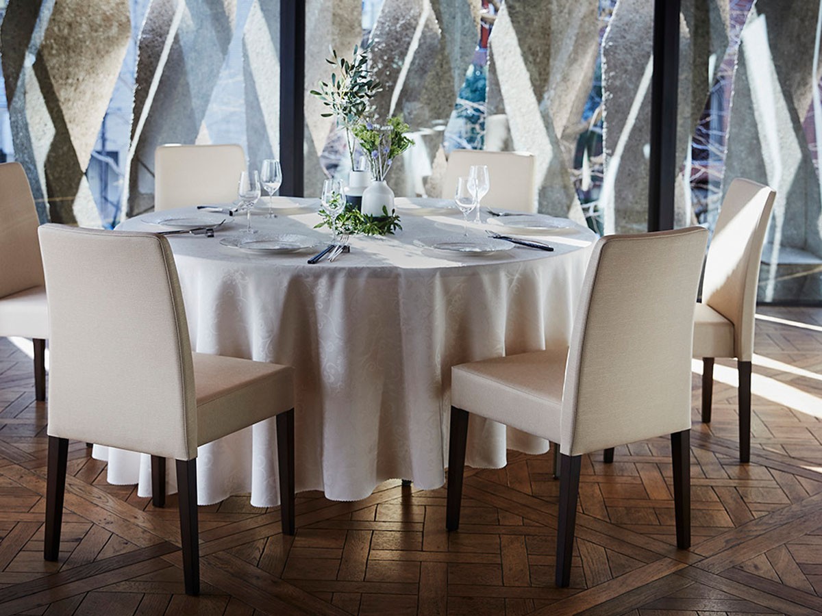 ABORD DINING CHAIR / アボール ダイニングチェア W034 （チェア・椅子 > ダイニングチェア） 2