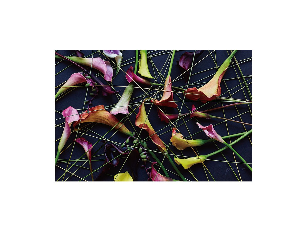 Geometric Scrumble Calla