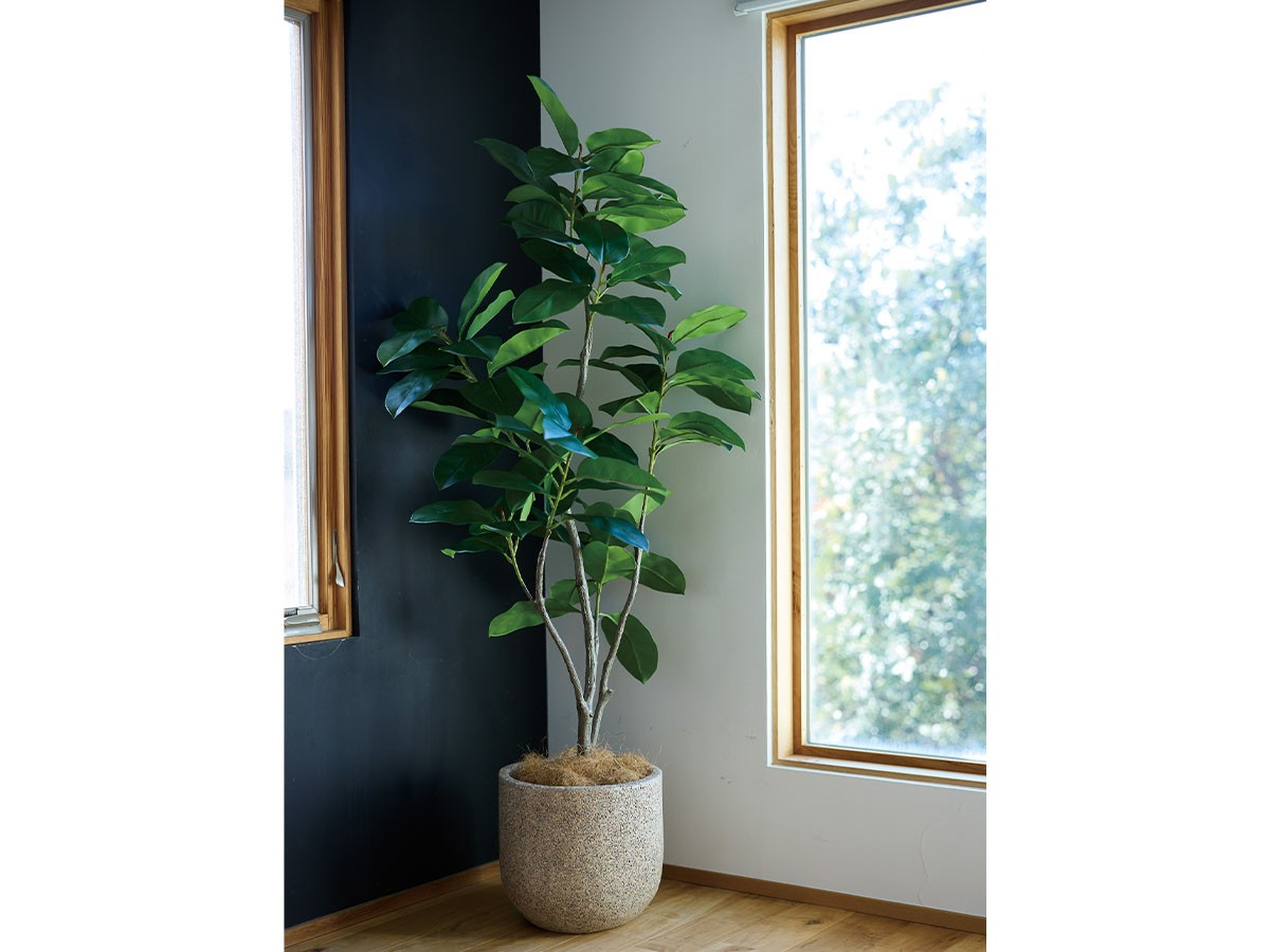 BROWN Ficus Benghalensis Pot / ブラウン フィカス ベンガレンシス ポット 135 （花器・プランター・グリーン > フェイクグリーン・フェイクフラワー） 2