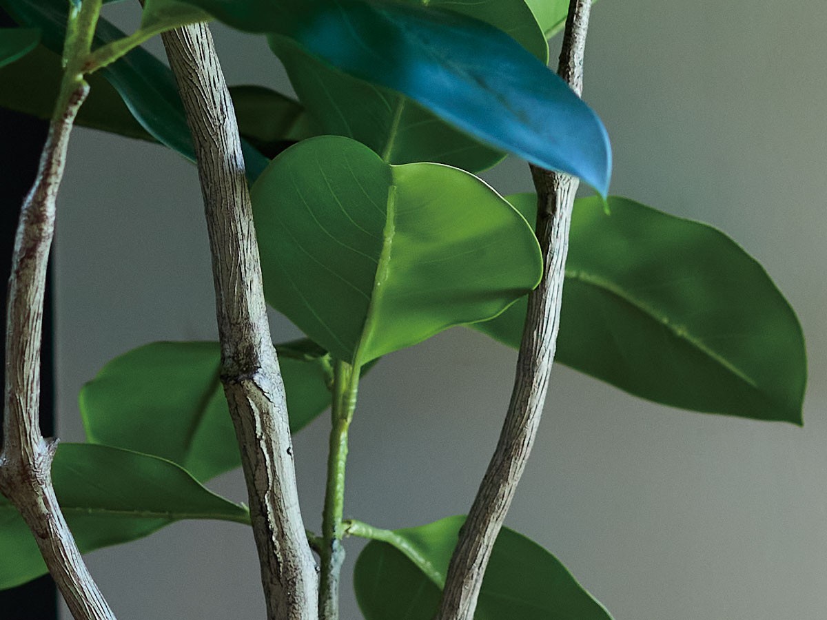 BROWN Ficus Benghalensis Pot / ブラウン フィカス ベンガレンシス ポット 135 （花器・プランター・グリーン > フェイクグリーン・フェイクフラワー） 4