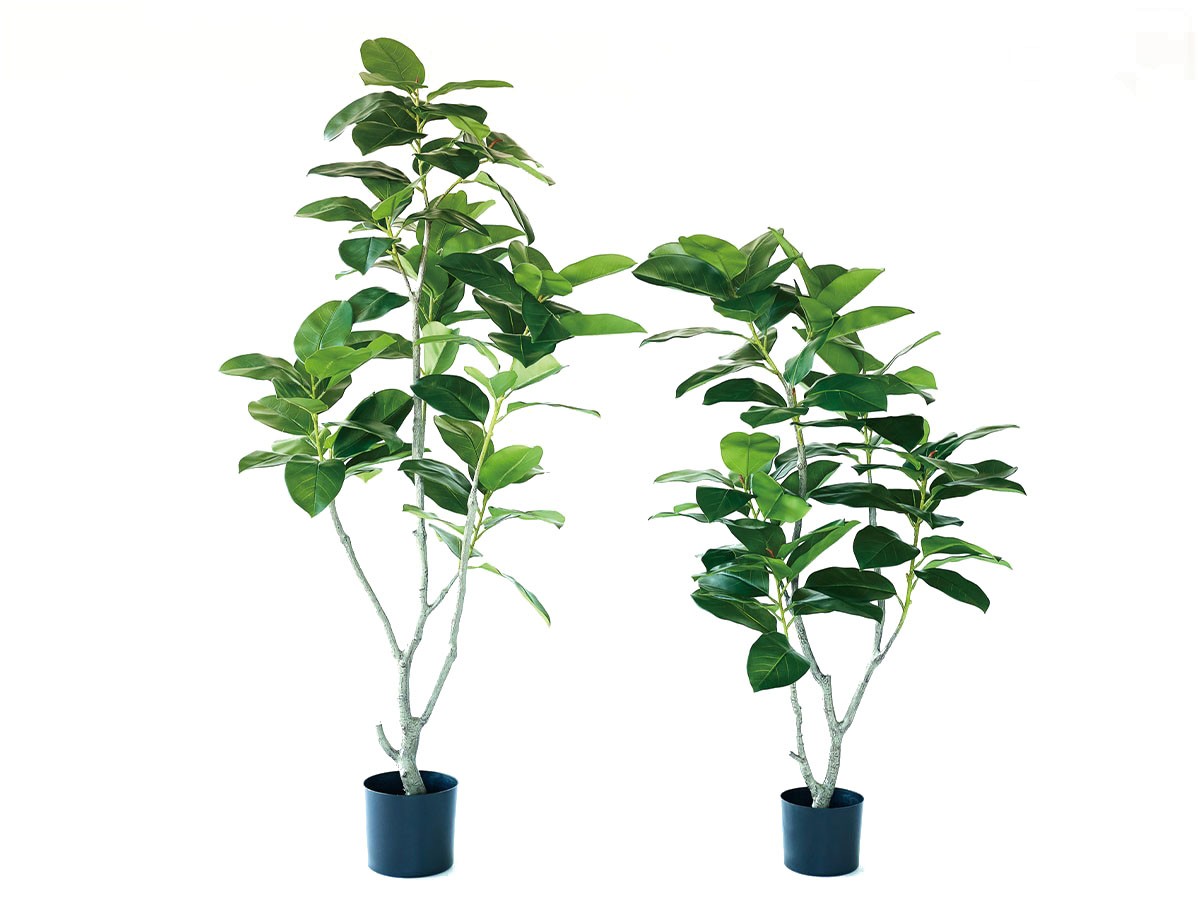 BROWN Ficus Benghalensis Pot / ブラウン フィカス ベンガレンシス ポット 135 （花器・プランター・グリーン > フェイクグリーン・フェイクフラワー） 5