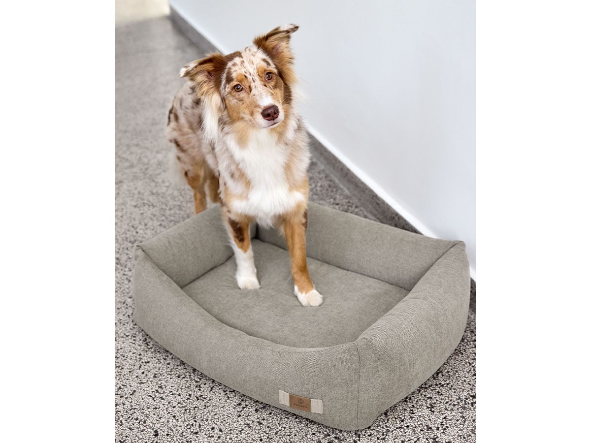 PALOPA Dog Bed Cotton / パロパ 犬用コットンベッド （インテリア雑貨 > ペット用品） 9