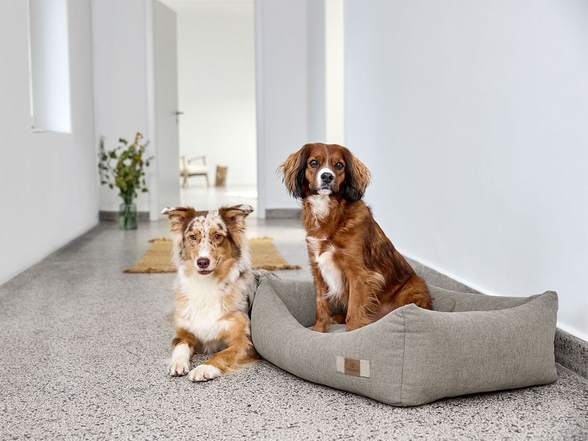 PALOPA Dog Bed Cotton / パロパ 犬用コットンベッド （インテリア雑貨 > ペット用品） 5