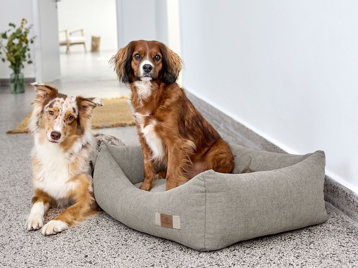 PALOPA Dog Bed Cotton / パロパ 犬用コットンベッド （インテリア雑貨 > ペット用品） 6