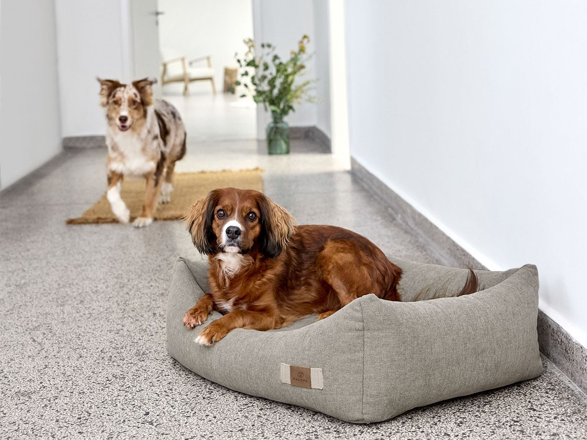 PALOPA Dog Bed Cotton / パロパ 犬用コットンベッド （インテリア雑貨 > ペット用品） 4