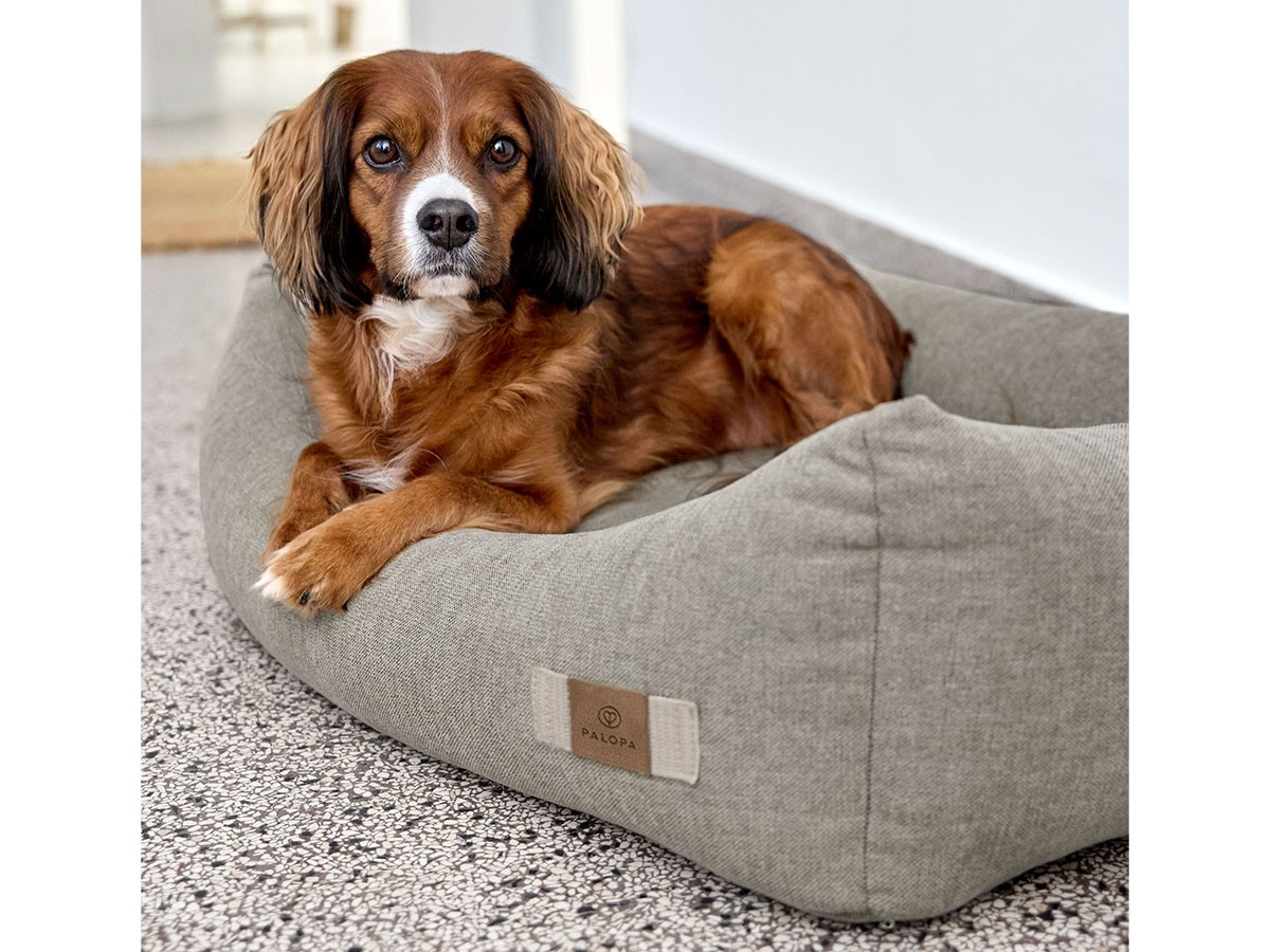 PALOPA Dog Bed Cotton / パロパ 犬用コットンベッド （インテリア雑貨 > ペット用品） 10