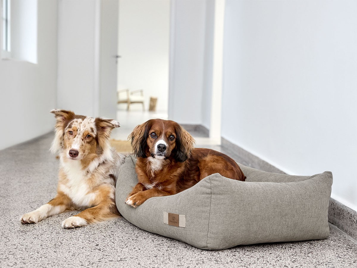 PALOPA Dog Bed Cotton / パロパ 犬用コットンベッド （インテリア雑貨 > ペット用品） 7