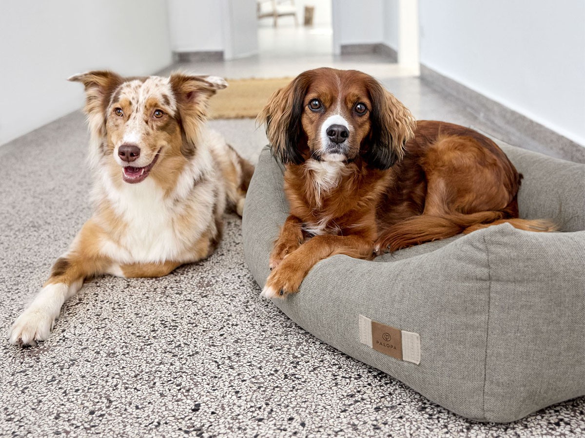 PALOPA Dog Bed Cotton / パロパ 犬用コットンベッド （インテリア雑貨 > ペット用品） 8