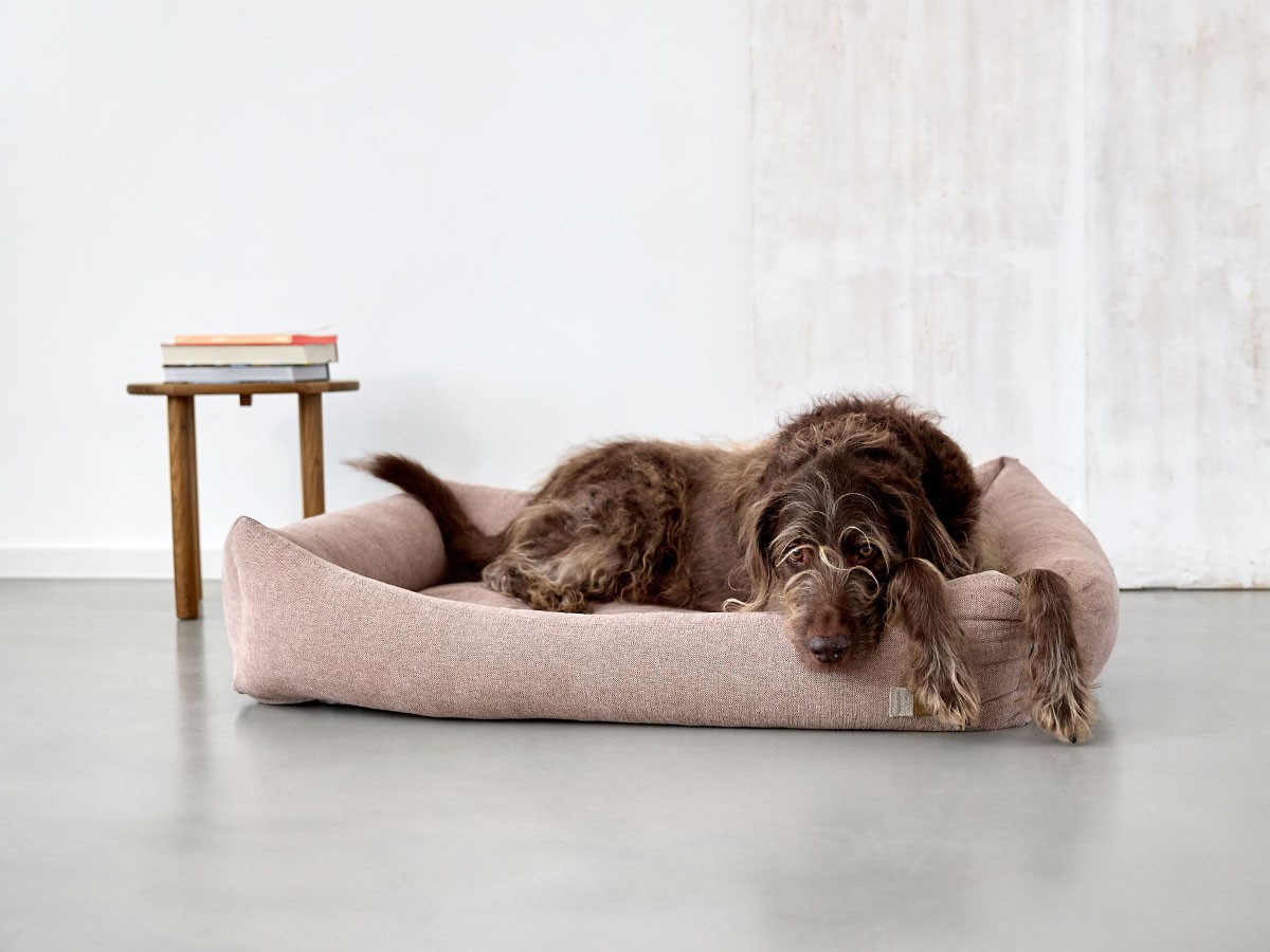 PALOPA Dog Bed Cotton / パロパ 犬用コットンベッド （インテリア雑貨 > ペット用品） 12