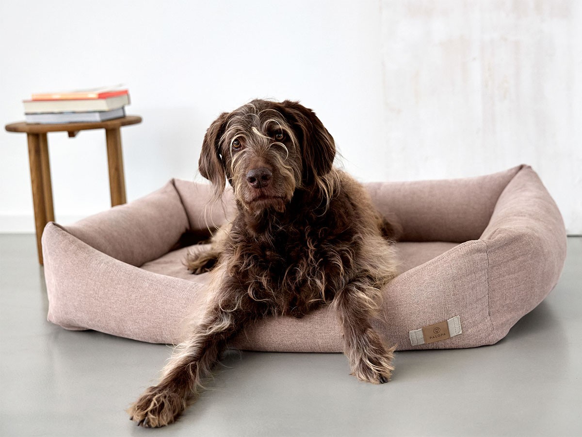 PALOPA Dog Bed Cotton / パロパ 犬用コットンベッド （インテリア雑貨 > ペット用品） 16