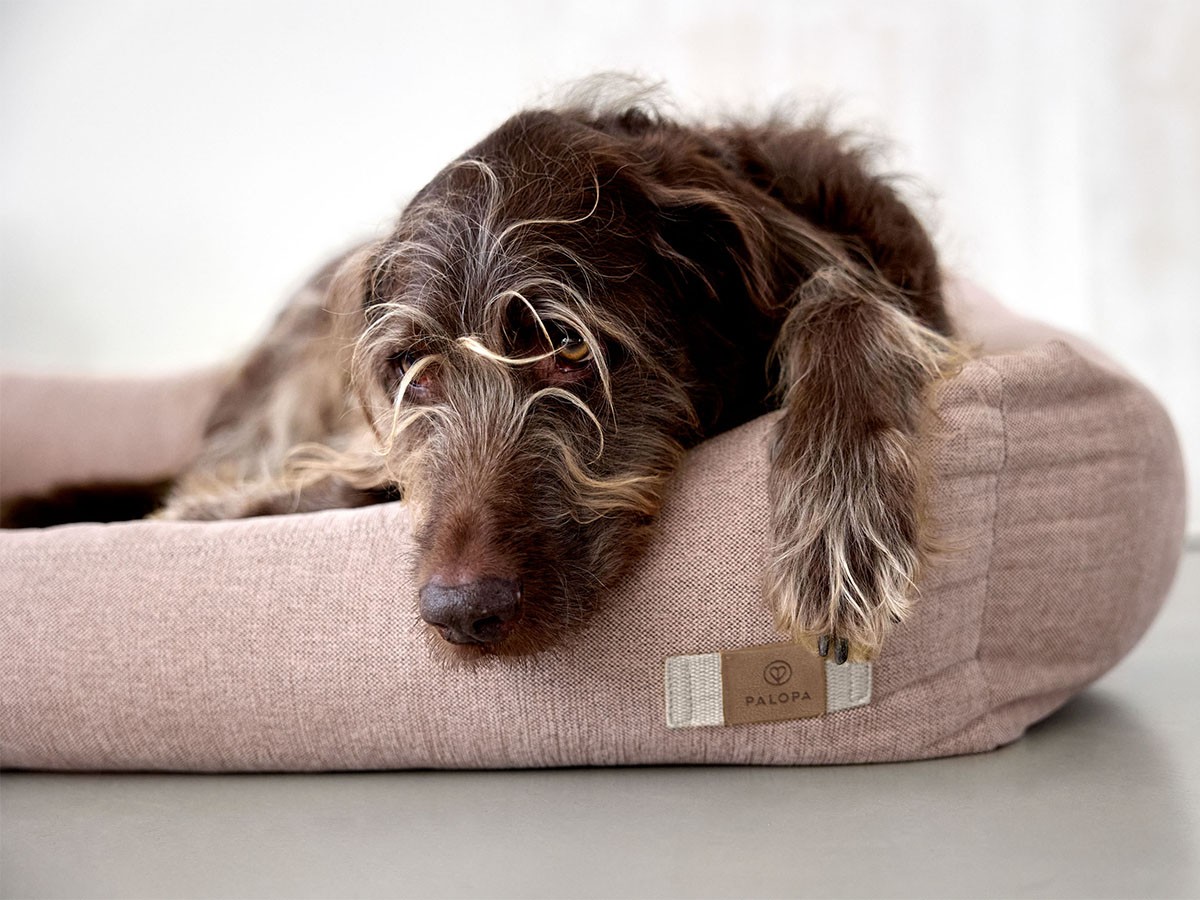 PALOPA Dog Bed Cotton / パロパ 犬用コットンベッド （インテリア雑貨 > ペット用品） 19