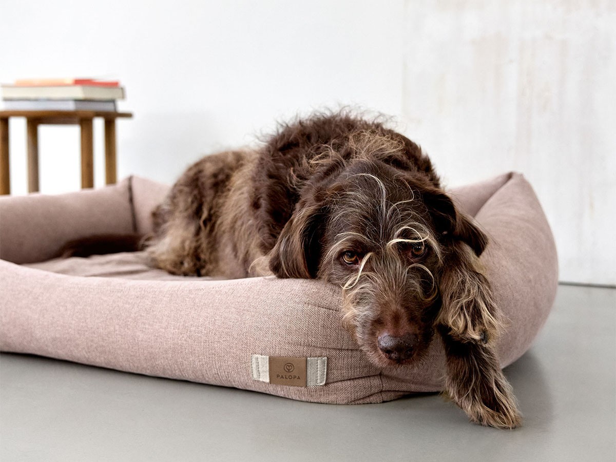 PALOPA Dog Bed Cotton / パロパ 犬用コットンベッド （インテリア雑貨 > ペット用品） 18