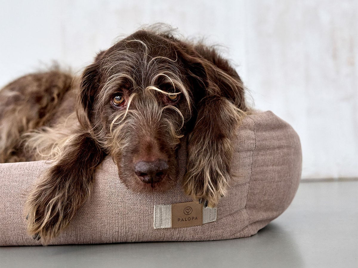 PALOPA Dog Bed Cotton / パロパ 犬用コットンベッド （インテリア雑貨 > ペット用品） 20