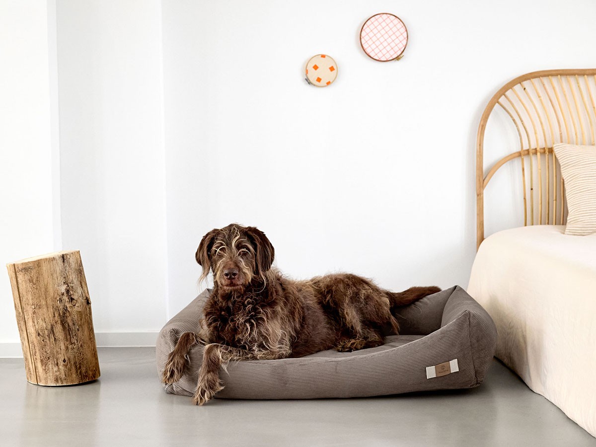 PALOPA Dog Bed Cotton / パロパ 犬用コットンベッド コーデュロイ生地（ウォルナット） （インテリア雑貨 > ペット用品） 3
