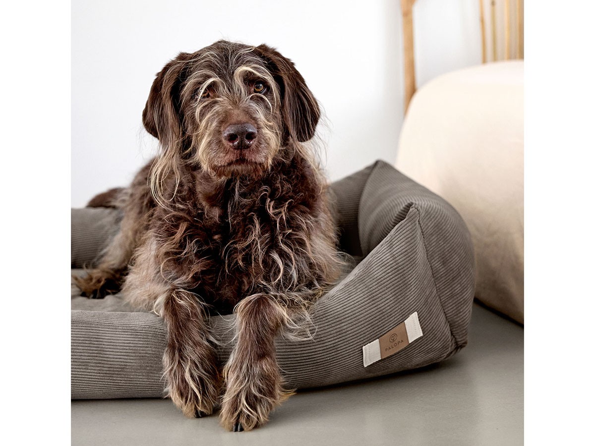 PALOPA Dog Bed Cotton / パロパ 犬用コットンベッド コーデュロイ生地（ウォルナット） （インテリア雑貨 > ペット用品） 7