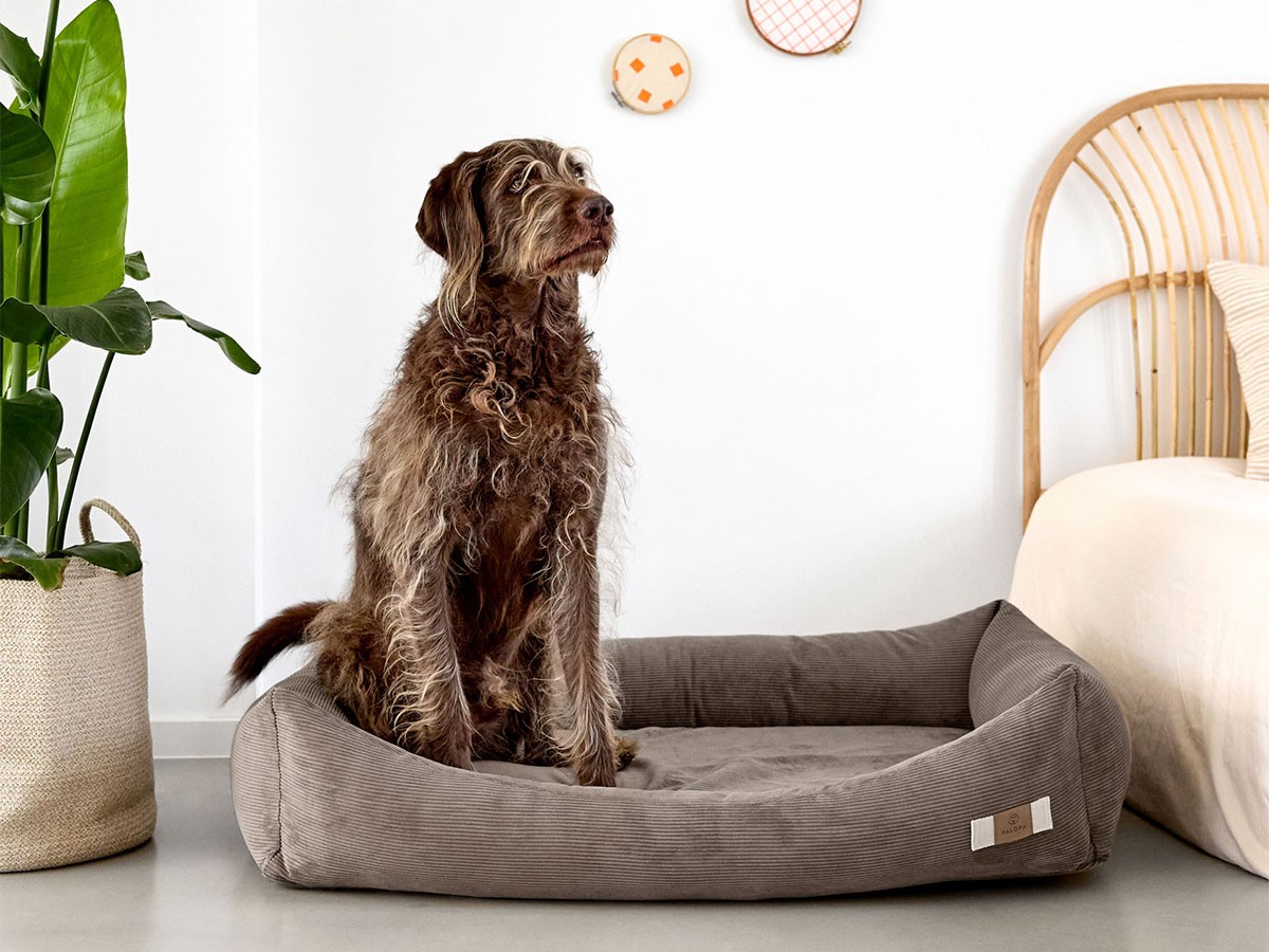 PALOPA Dog Bed Cotton / パロパ 犬用コットンベッド コーデュロイ生地（ウォルナット） （インテリア雑貨 > ペット用品） 5