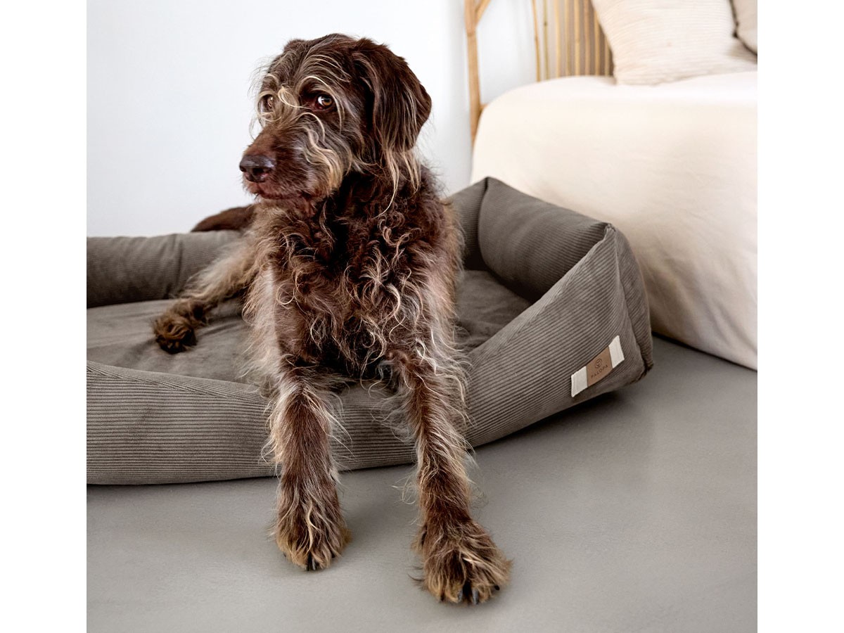 PALOPA Dog Bed Cotton / パロパ 犬用コットンベッド コーデュロイ生地（ウォルナット） （インテリア雑貨 > ペット用品） 6