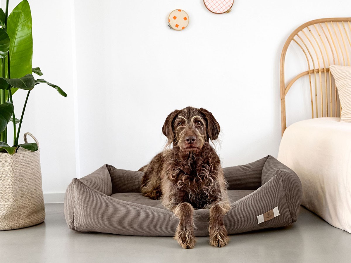 PALOPA Dog Bed Cotton / パロパ 犬用コットンベッド コーデュロイ生地（ウォルナット） （インテリア雑貨 > ペット用品） 4